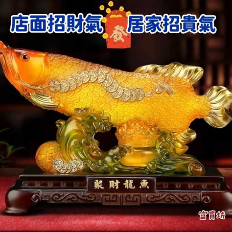 招財小型魚|【招財小型魚】招財魚不藏私！千元內必收招財小型魚 TOP 3 –